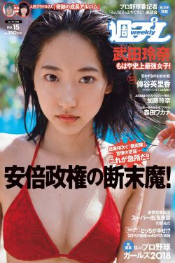 山里那些女人 小说